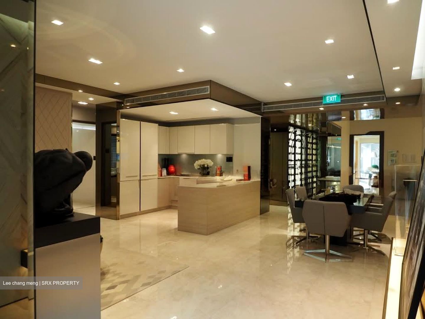 V On Shenton (D1), Apartment #557974421